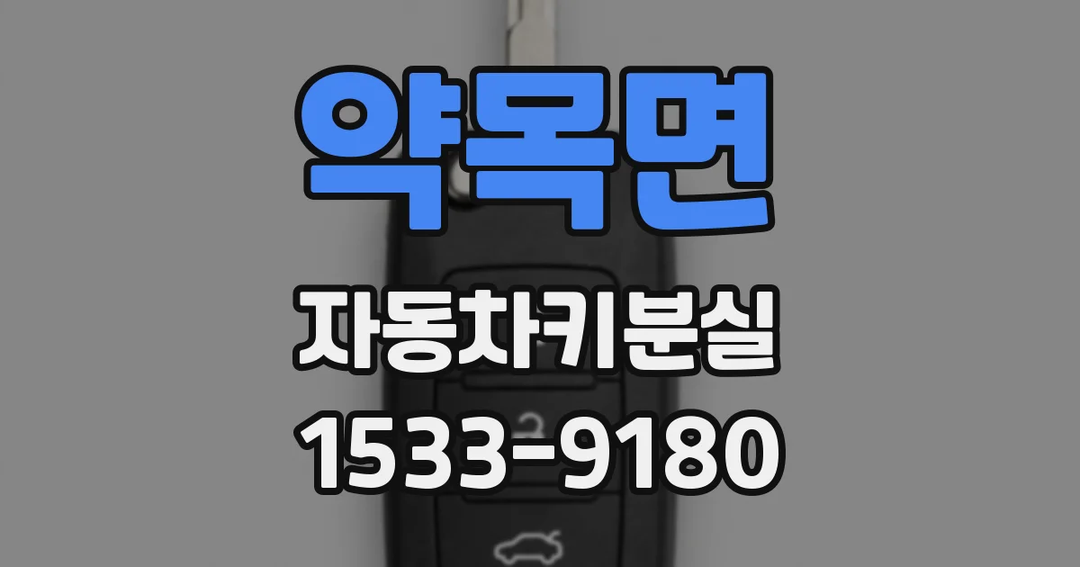 약목면 자동차키분실