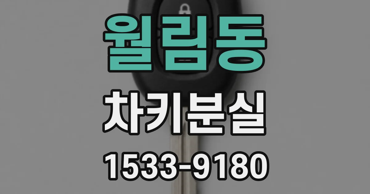 월림동 차키분실