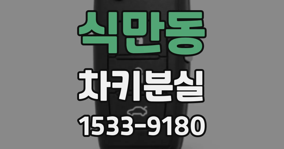 식만동 차키분실