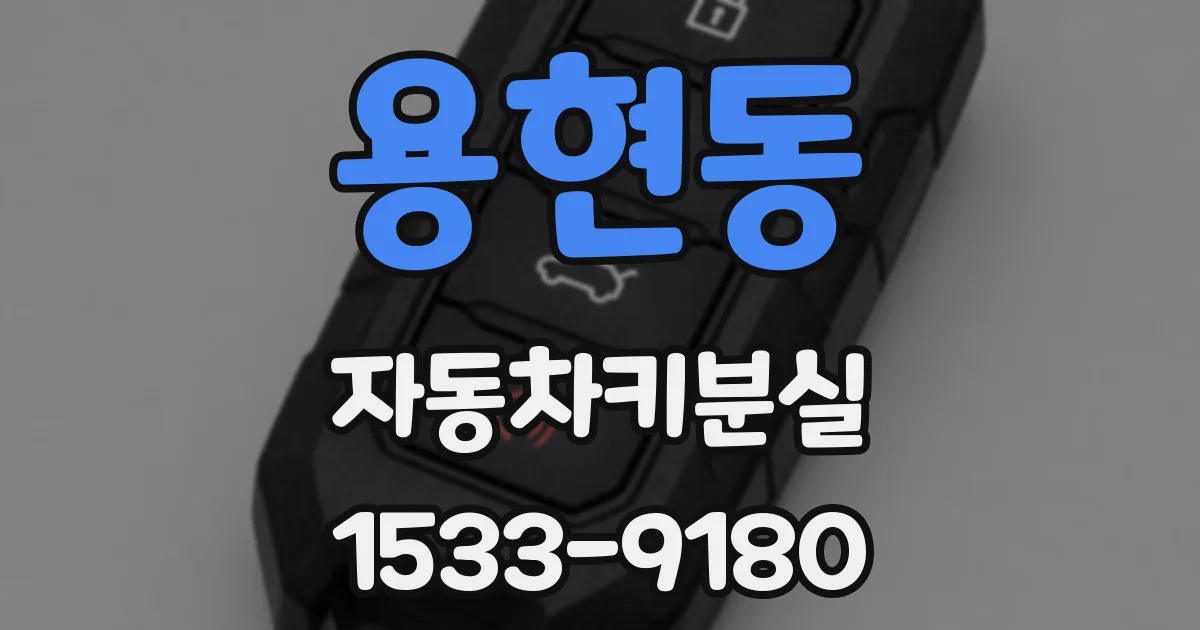 용현동 자동차키분실