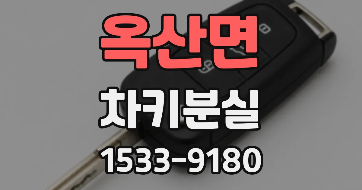 옥산면 차키분실