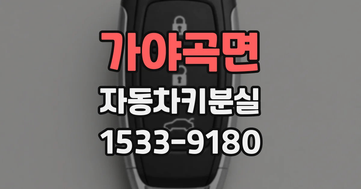 가야곡면 자동차키분실