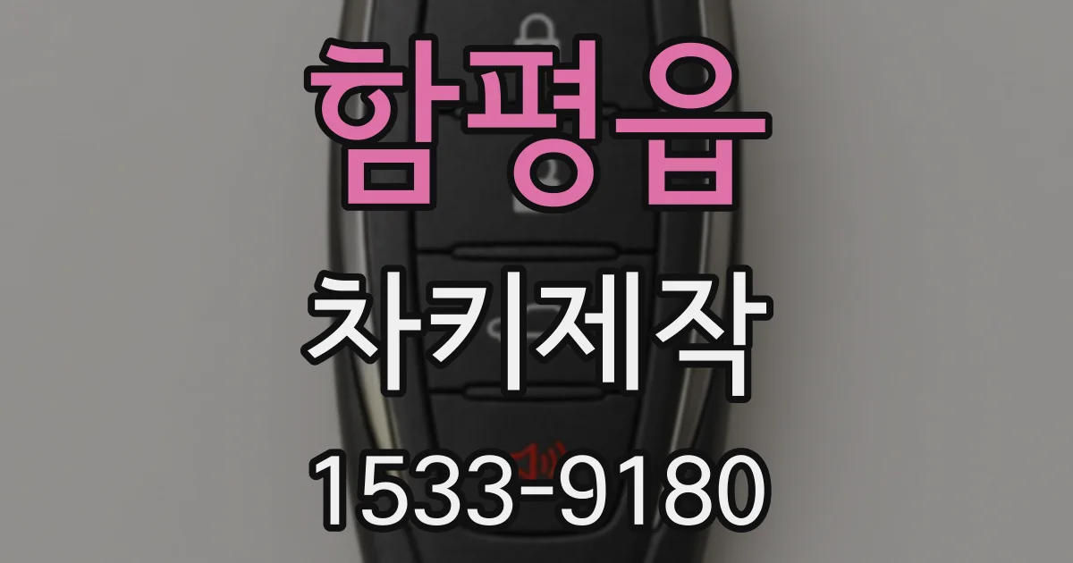 함평읍 차키제작
