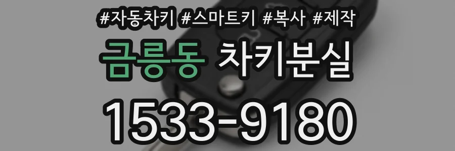 금릉동 차키분실