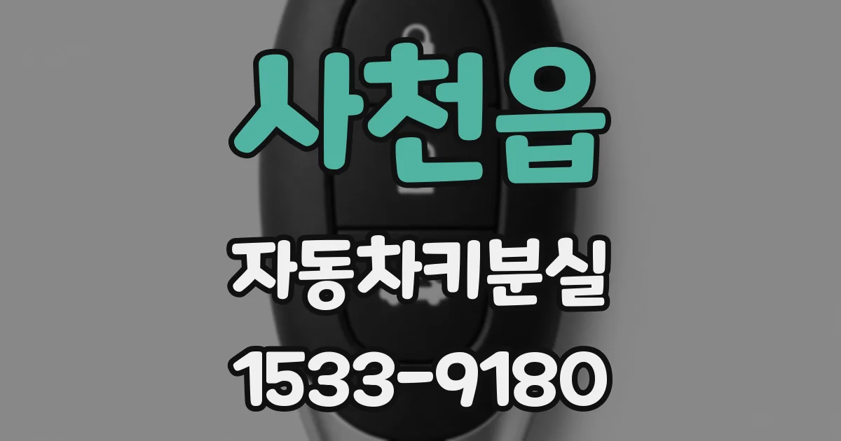 사천읍 자동차키분실