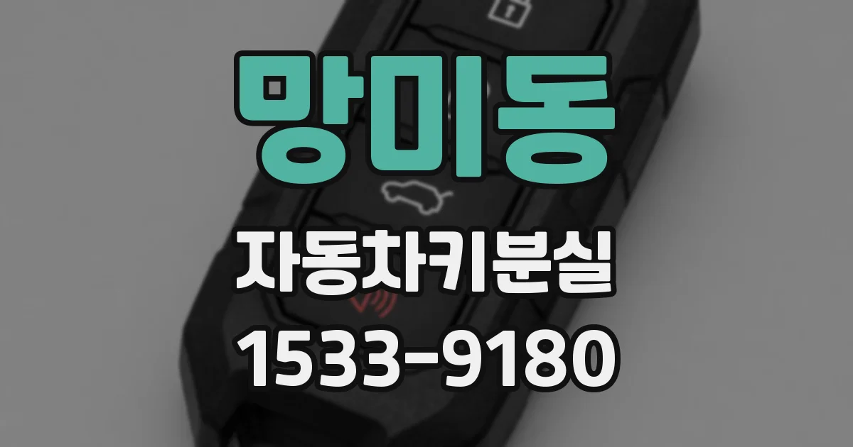 망미동 자동차키분실