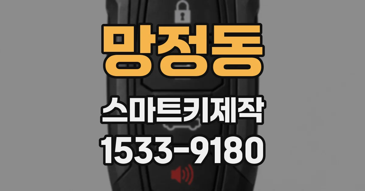 망정동 스마트키제작