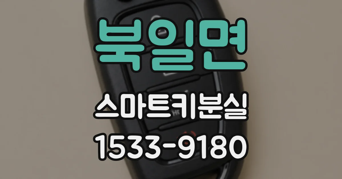 북일면 스마트키분실