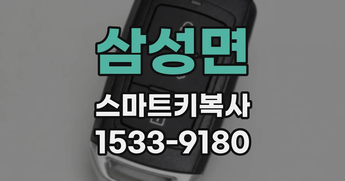 삼성면 스마트키복사