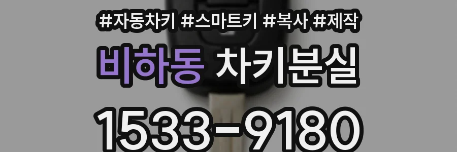 비하동 차키분실