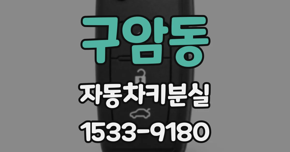 구암동 자동차키분실