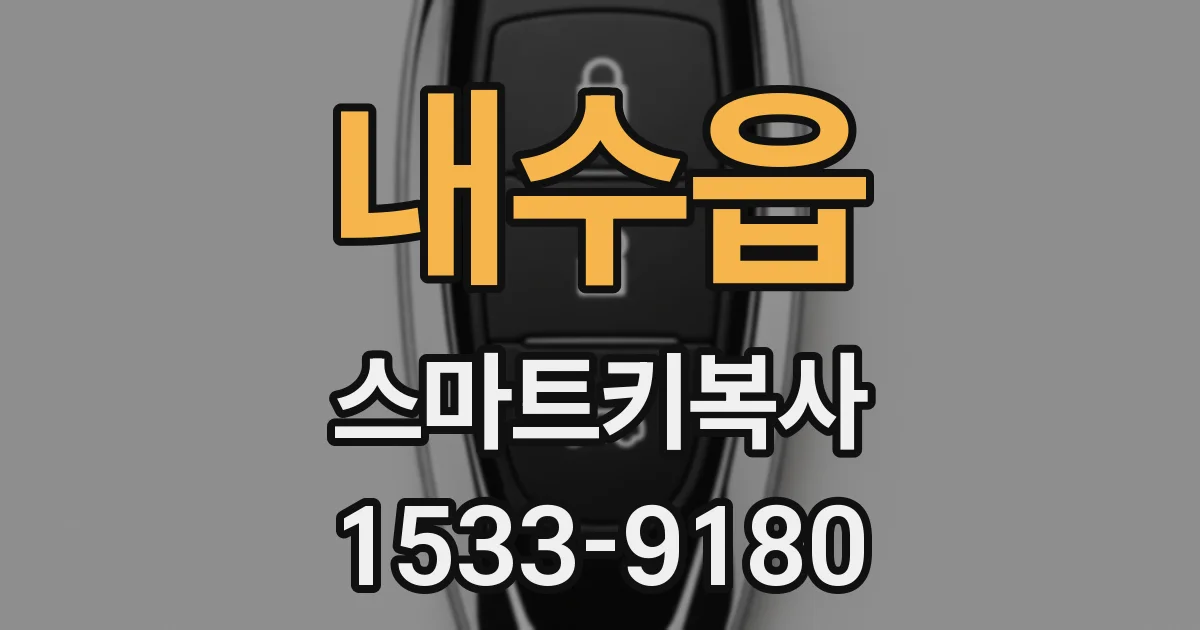 내수읍 스마트키복사