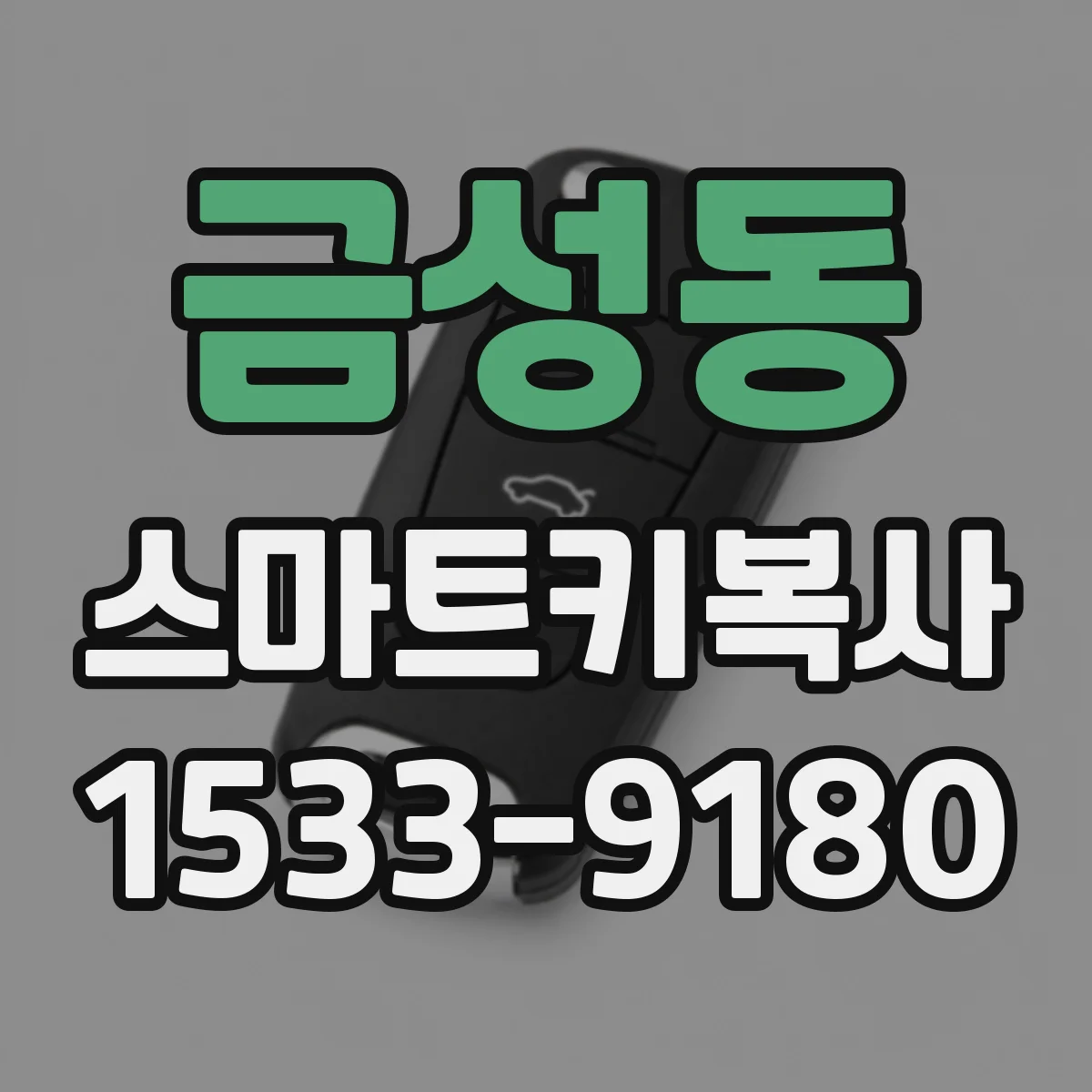 금성동 스마트키복사
