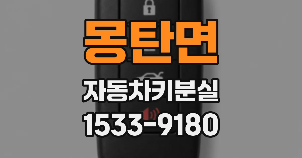 몽탄면 자동차키분실