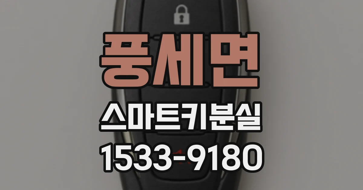 풍세면 스마트키분실