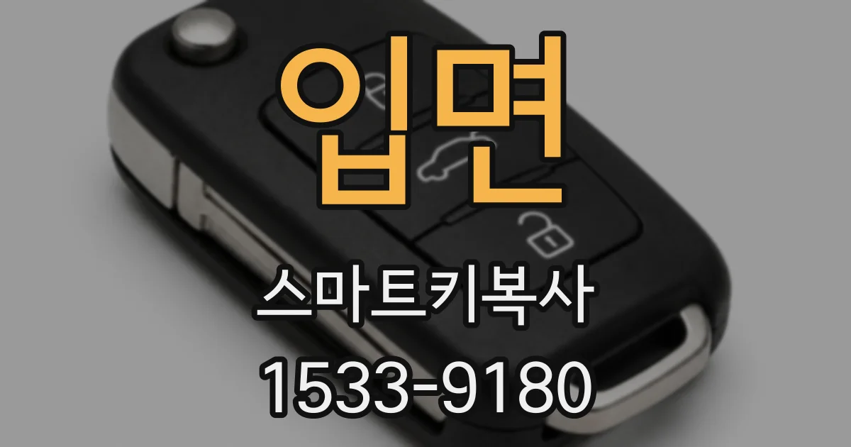 입면 스마트키복사