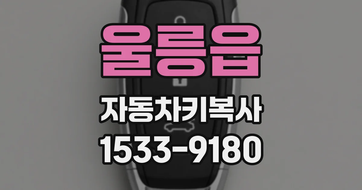 울릉읍 자동차키복사