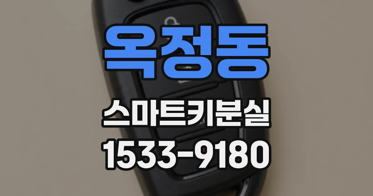 옥정동 스마트키분실
