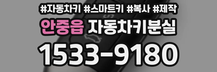 안중읍 자동차키분실