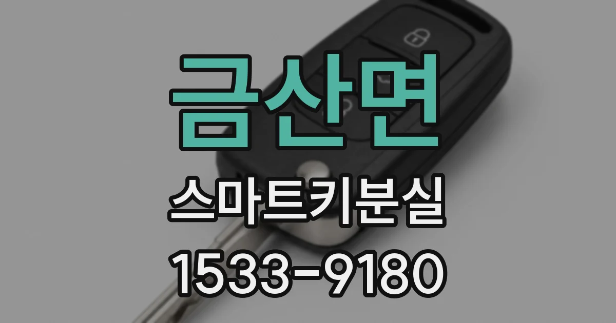 금산면 스마트키분실