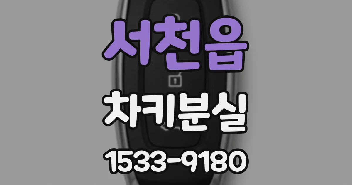 서천읍 차키분실