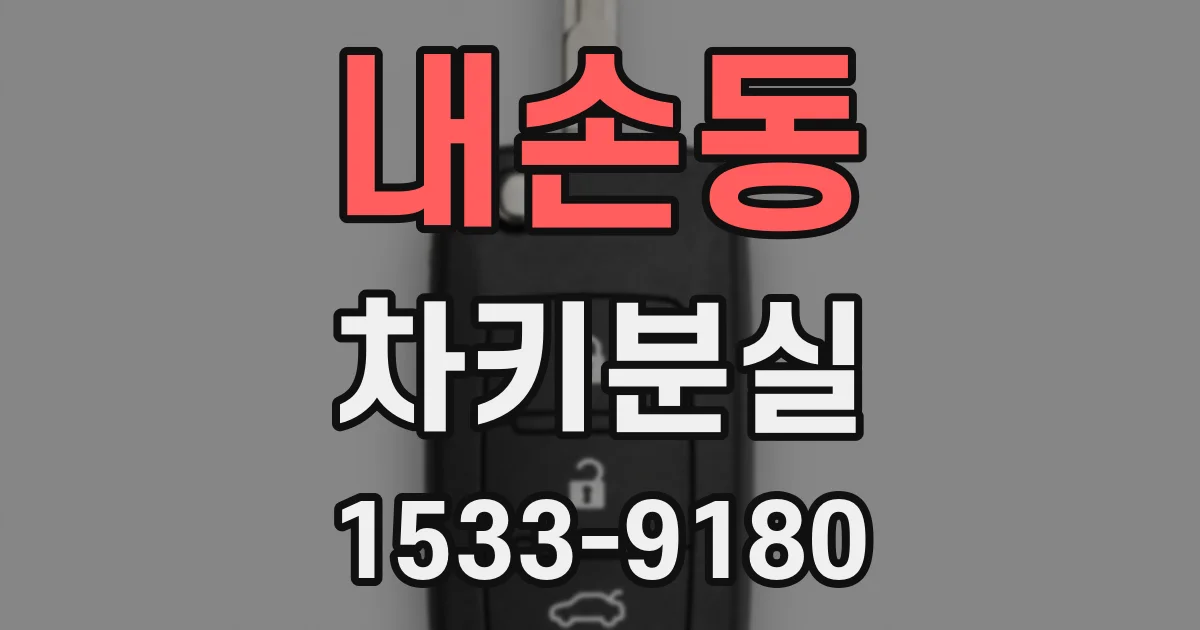 내손동 차키분실