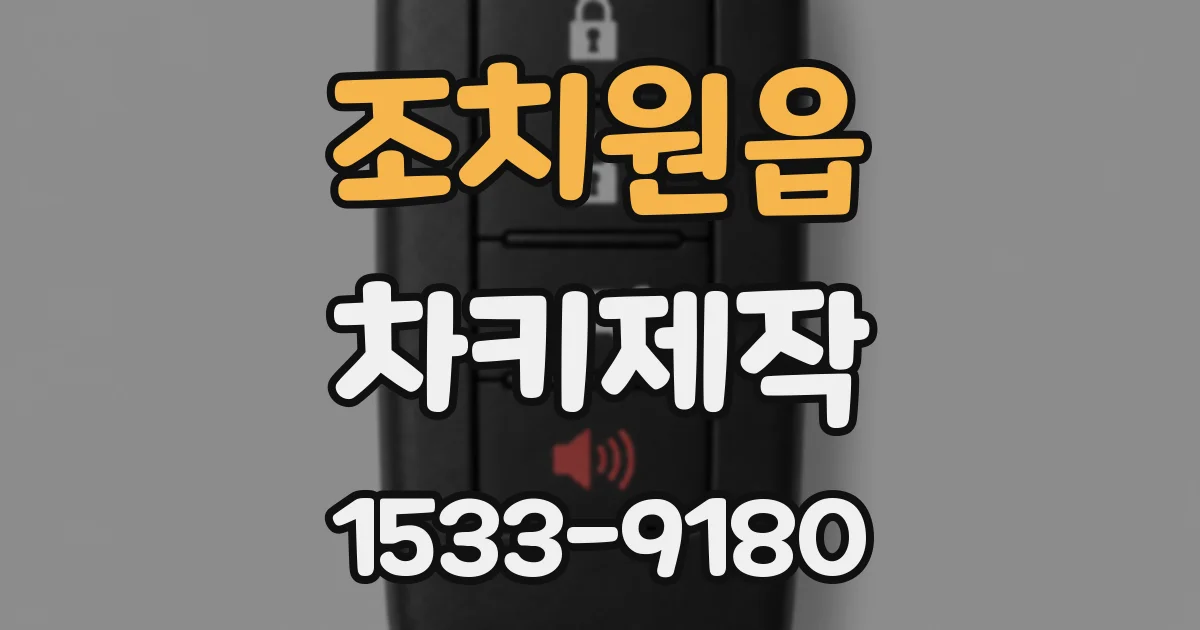 조치원읍 차키제작