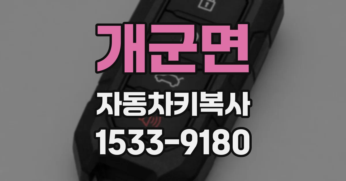 개군면 자동차키복사