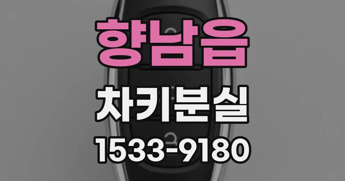 향남읍 차키분실