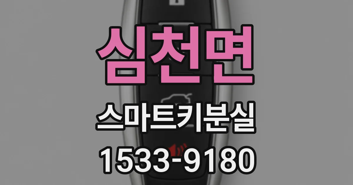 심천면 스마트키분실