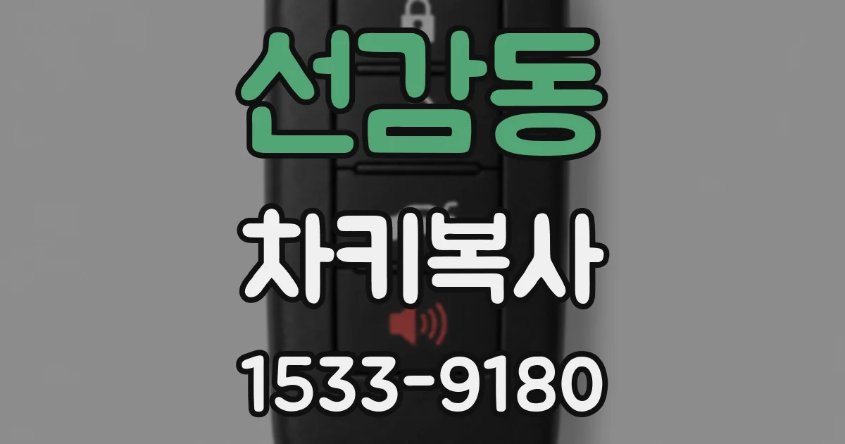 선감동 차키복사