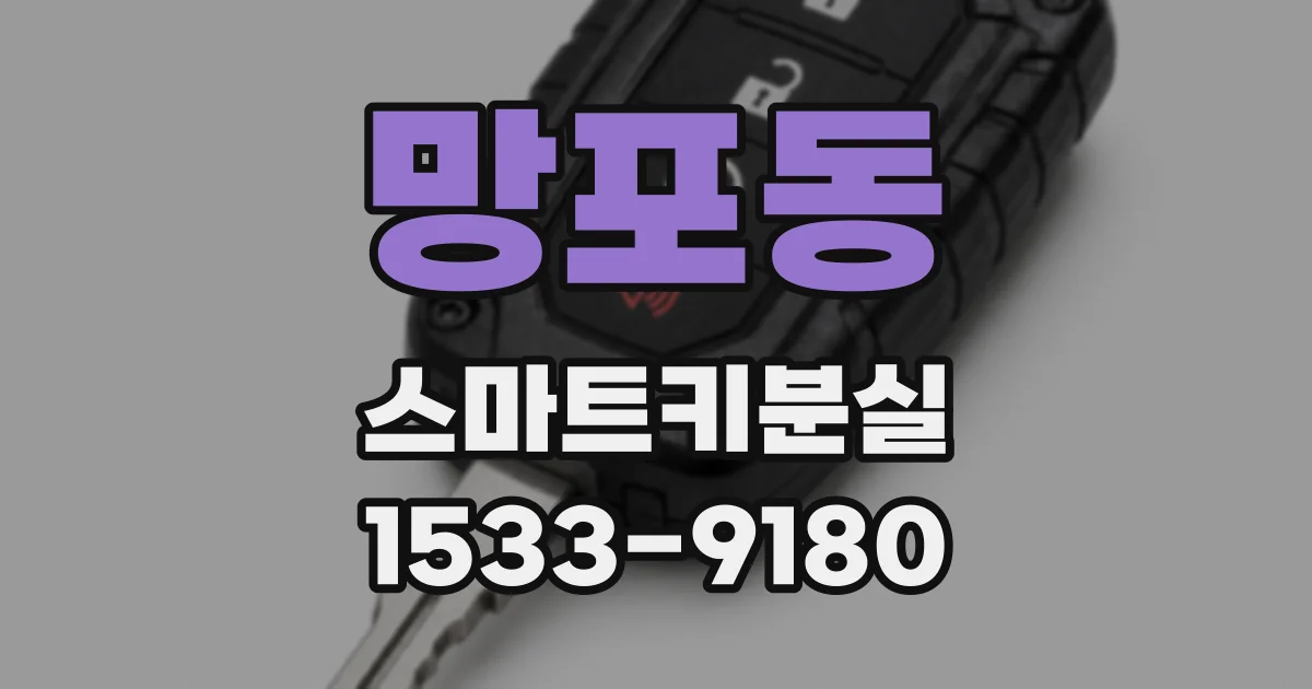 망포동 스마트키분실