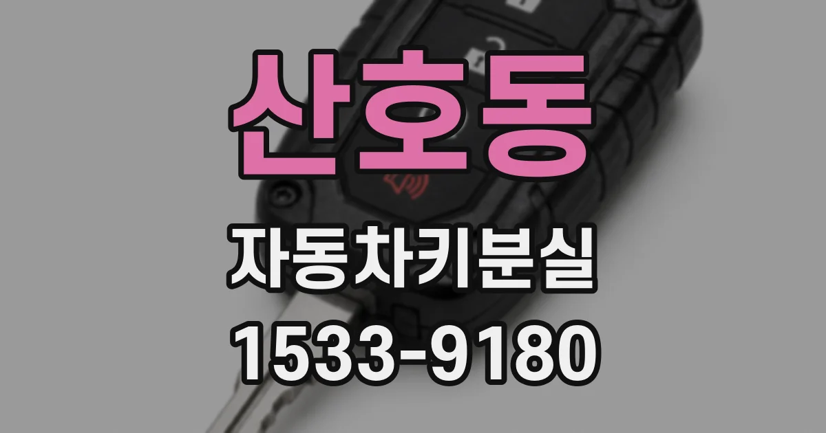 산호동 자동차키분실