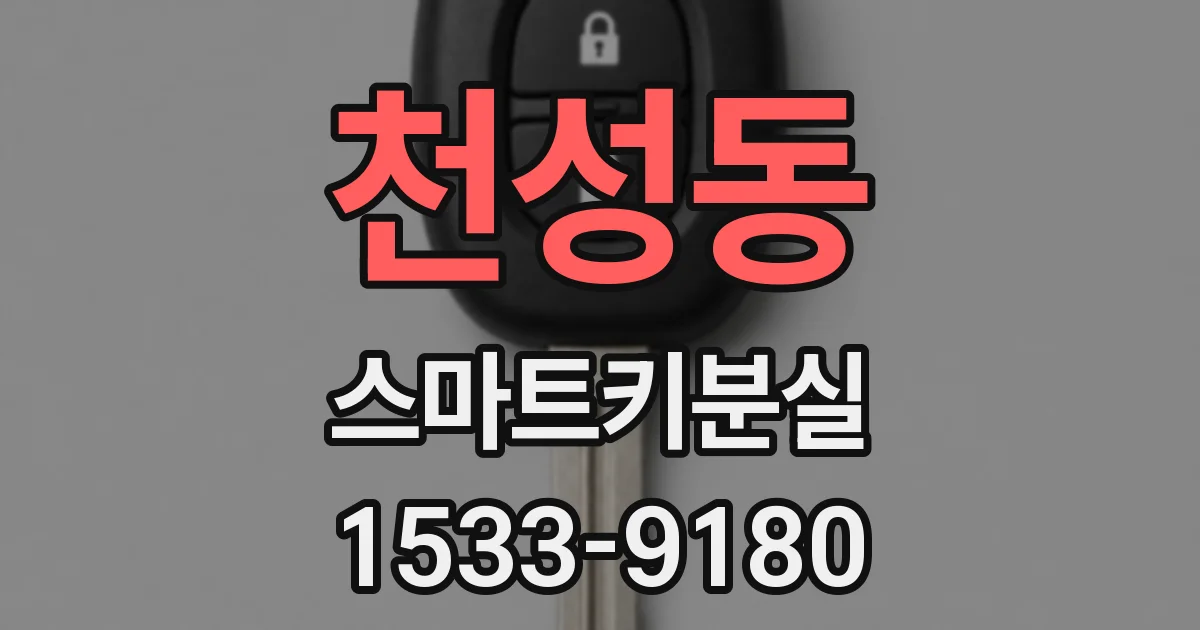 천성동 스마트키분실