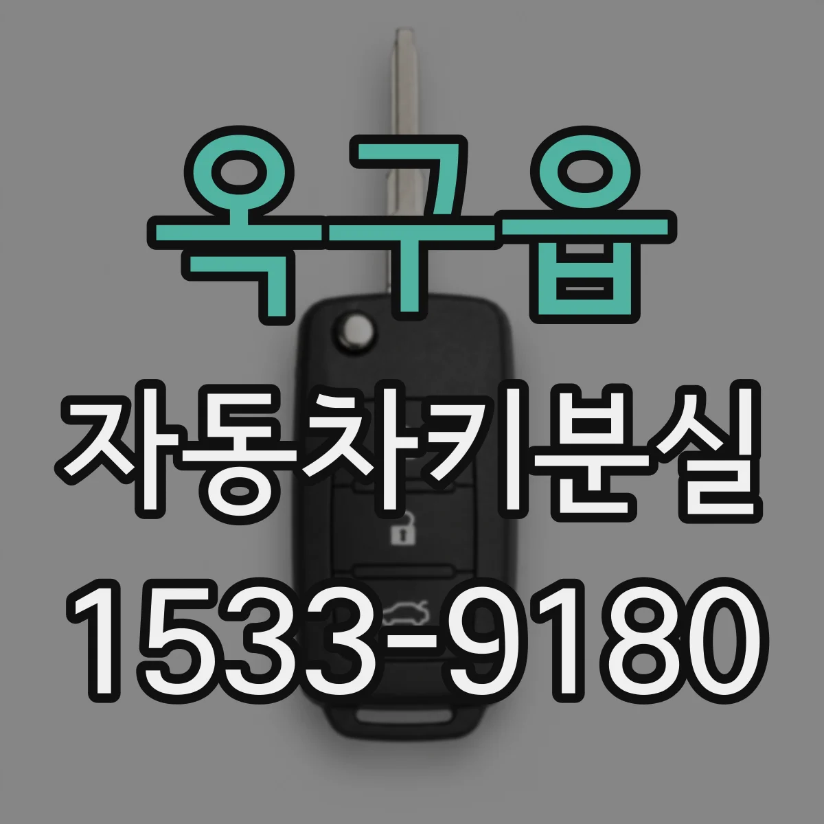 옥구읍 자동차키분실