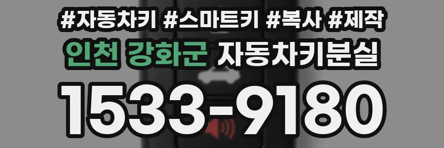 인천 강화군 자동차키분실
