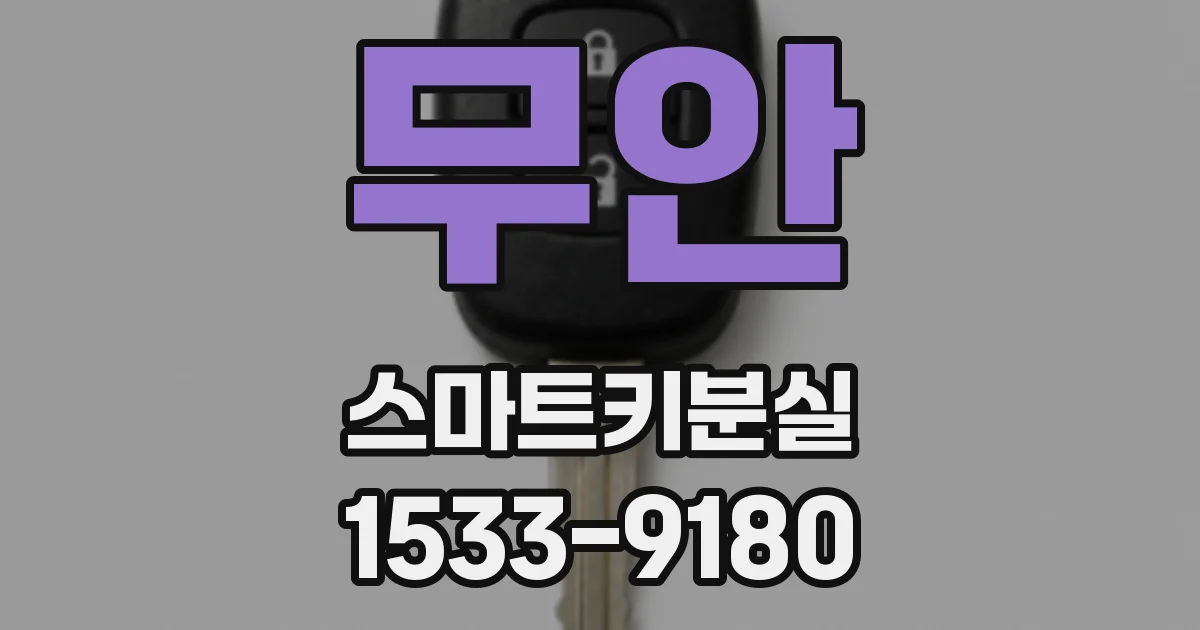 무안 스마트키분실