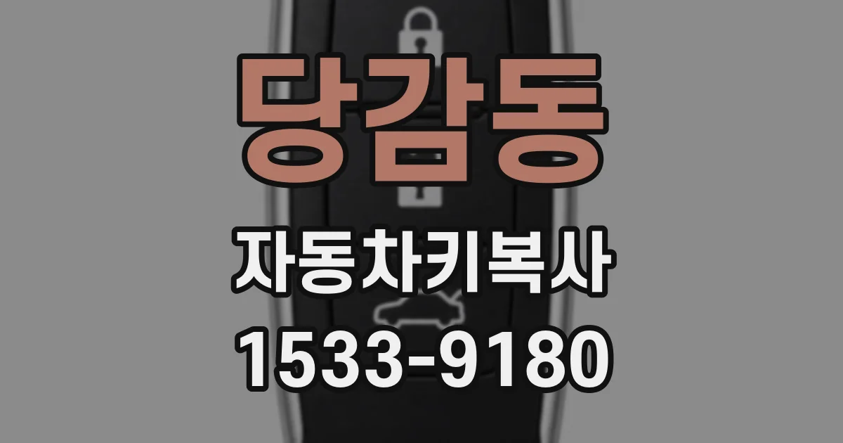 당감동 자동차키복사