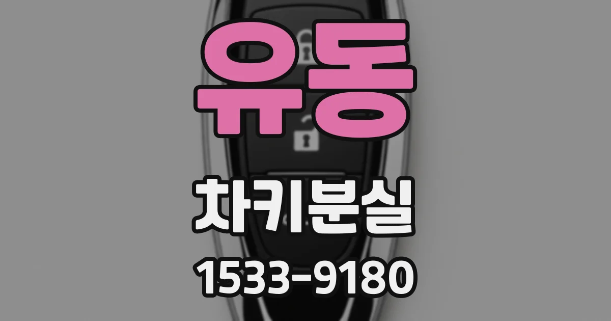 유동 차키분실