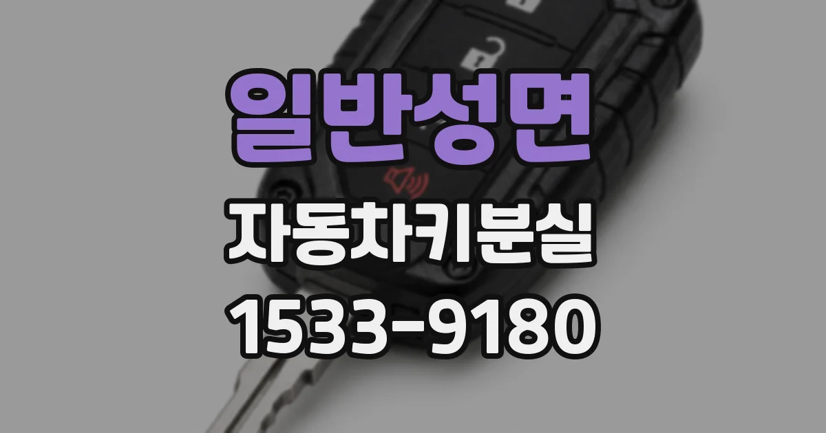 일반성면 자동차키분실