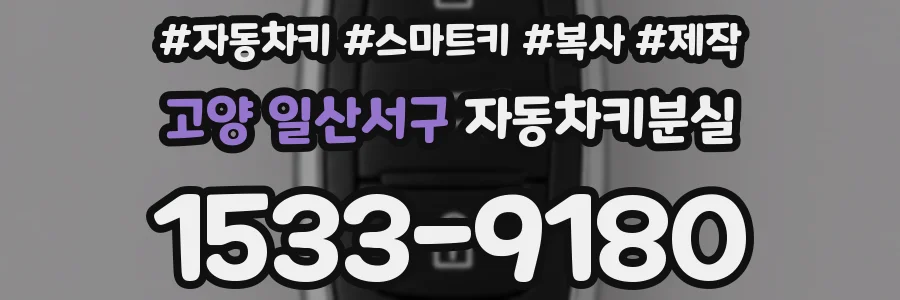 고양 일산서구 자동차키분실