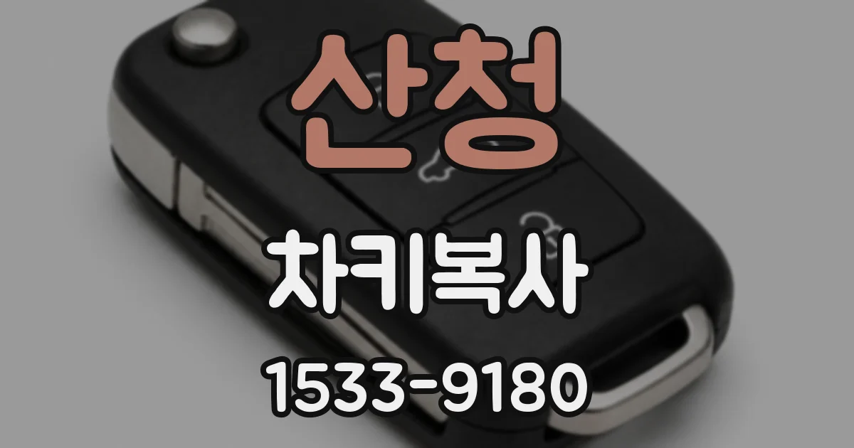 산청 차키복사