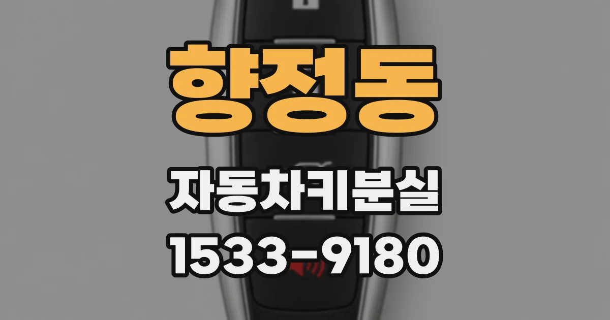 향정동 자동차키분실