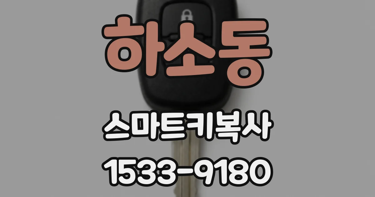 하소동 스마트키복사