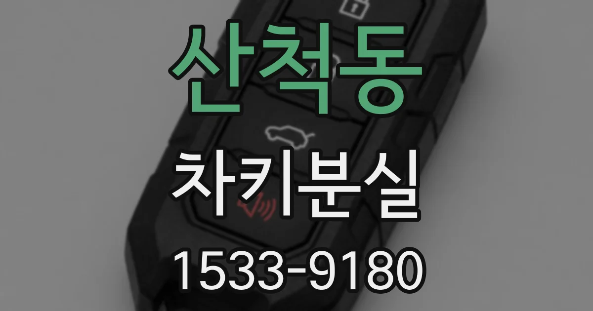 산척동 차키분실