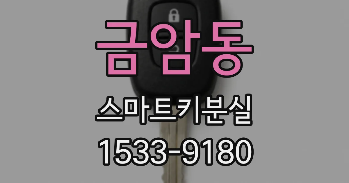금암동 스마트키분실