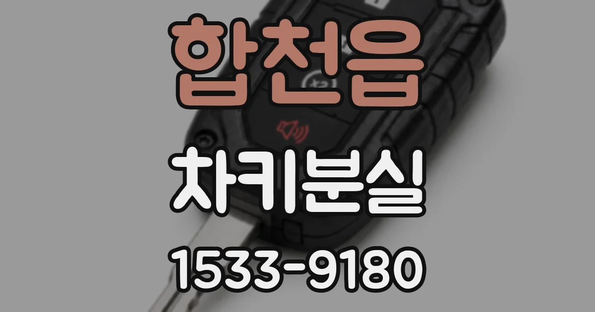합천읍 차키분실