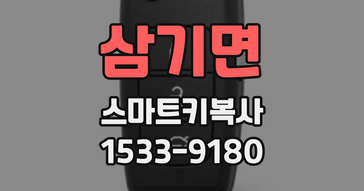 삼기면 스마트키복사