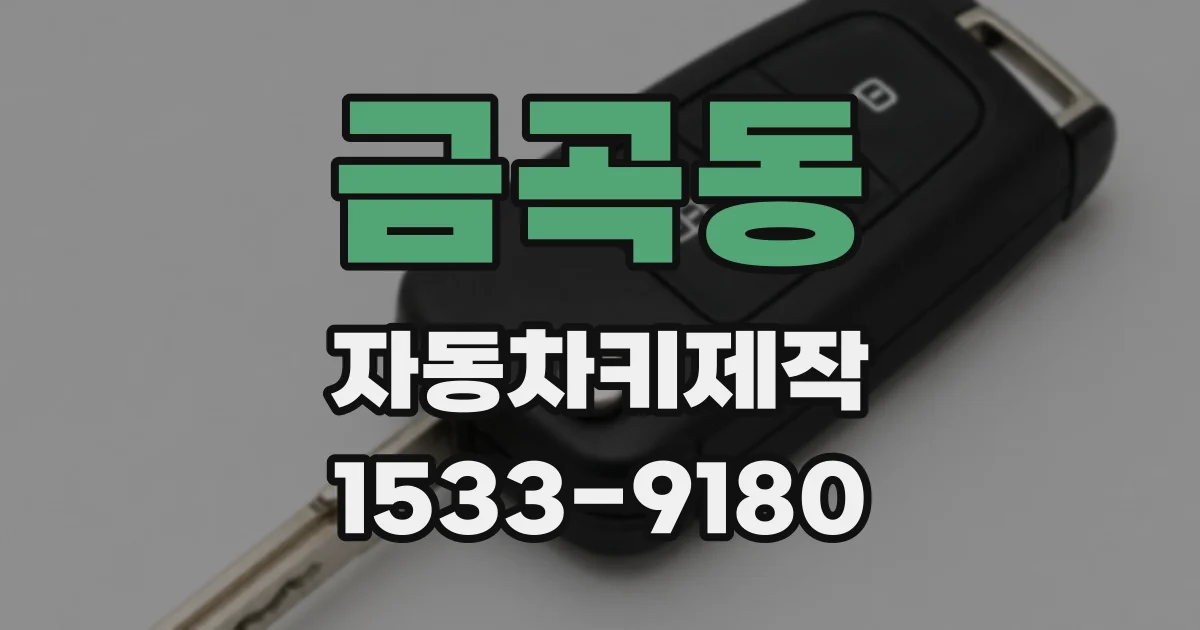 금곡동 자동차키제작