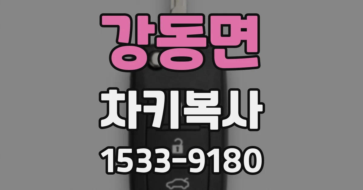 강동면 차키복사